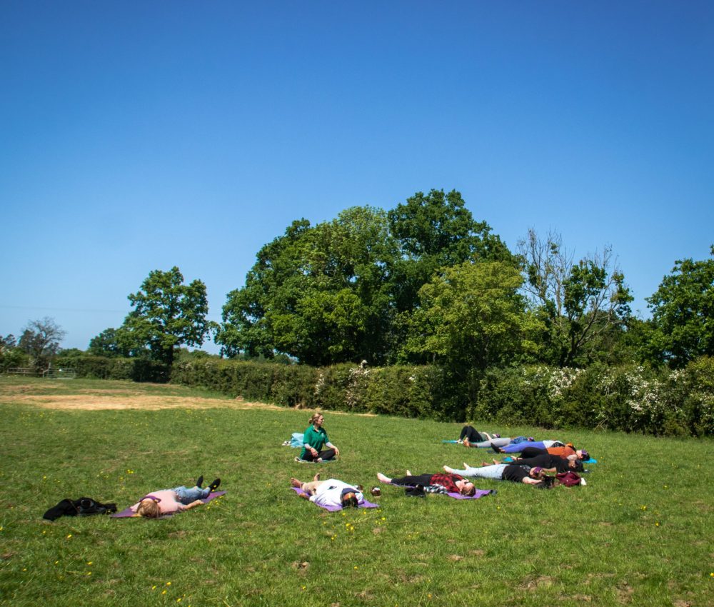 Oak therapies Therapy centre kent (26)