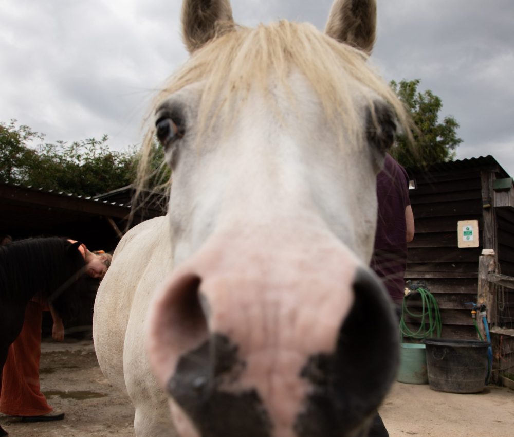 caroline school etc-099